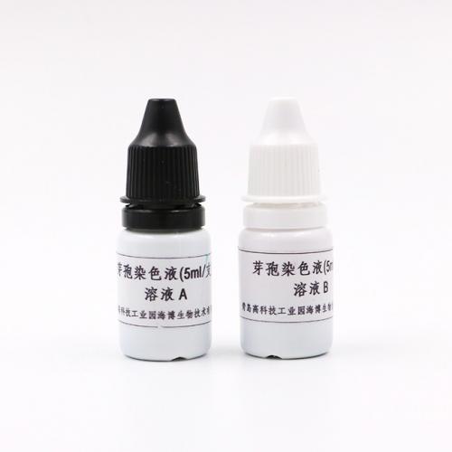 芽孢染色液     5ml*4