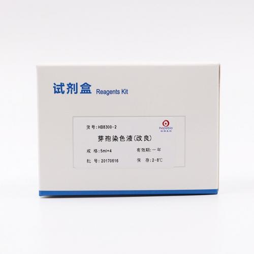 芽孢染色液     5ml*4