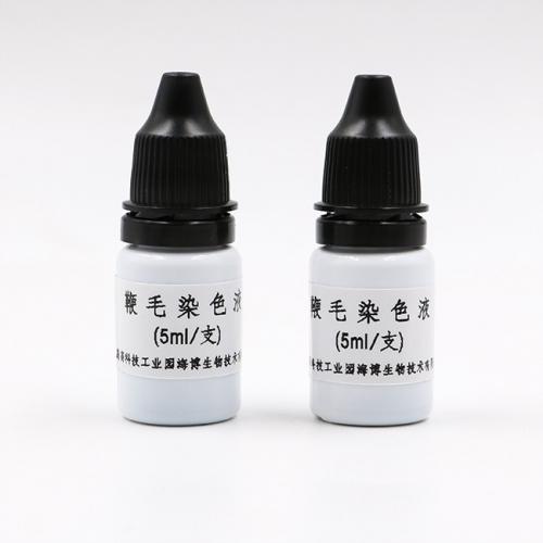 鞭毛染色液  5ml*8支