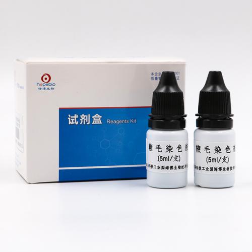 鞭毛染色液  5ml*8支